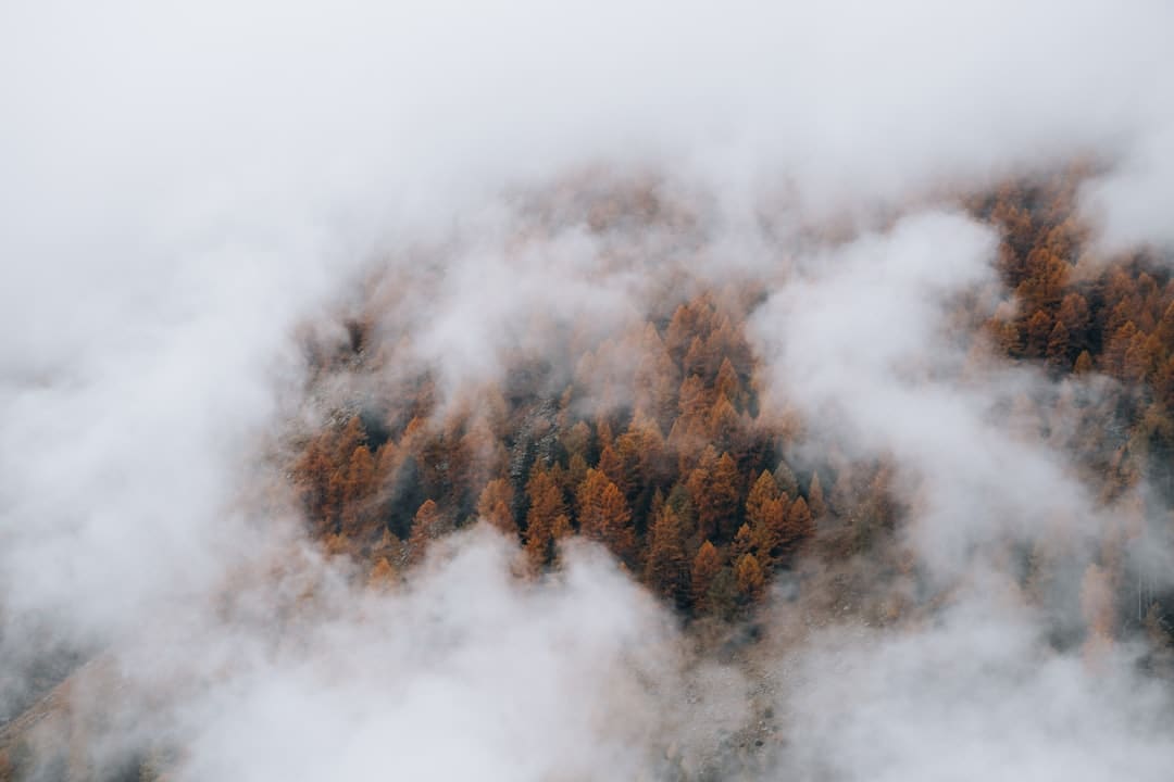 http://n.sinaimg.cn/front/w720h1280/20180311/c8ma-fxpwyhx1015875.jpg?zdy